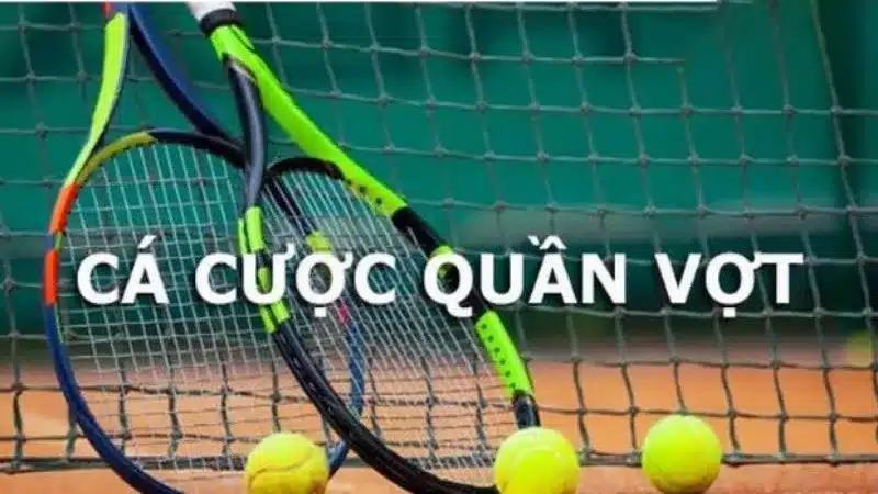 Cá cược tennis 